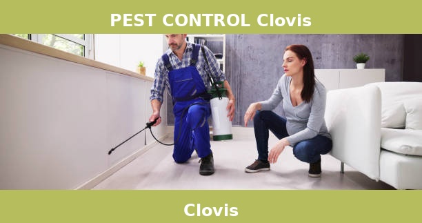 PEST CONTROL Clovis